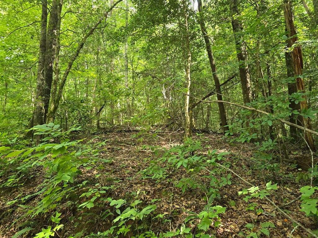 3.59 AC Swallows Creek Road, Hiawassee GA 30546 - Photo