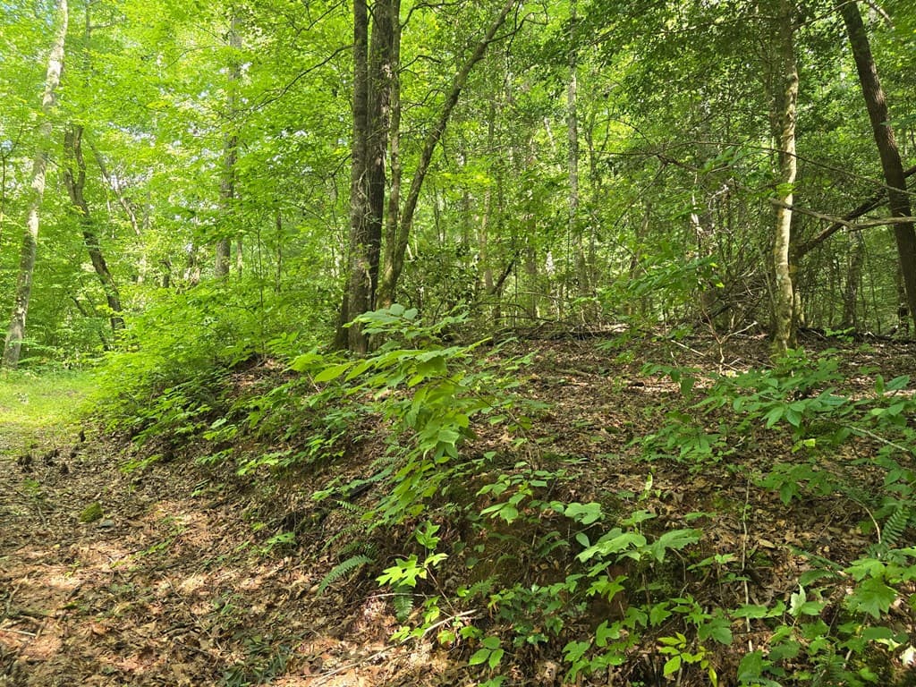 3.59 AC Swallows Creek Road, Hiawassee GA 30546 - Photo