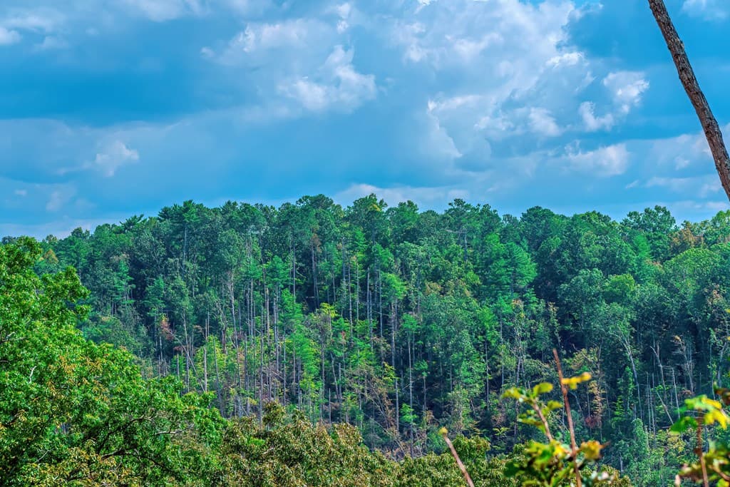 Lot 50 Jakes Landing Way, Ellijay GA 30540 - Photo