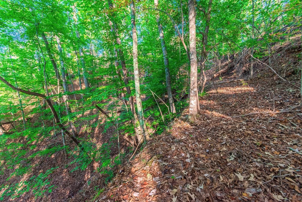 Lot 50 Jakes Landing Way, Ellijay GA 30540 - Photo