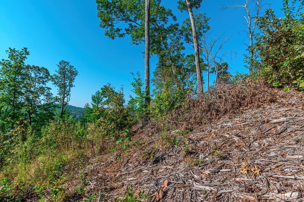 Lot 50 Jakes Landing Way, Ellijay GA 30540 - Photo