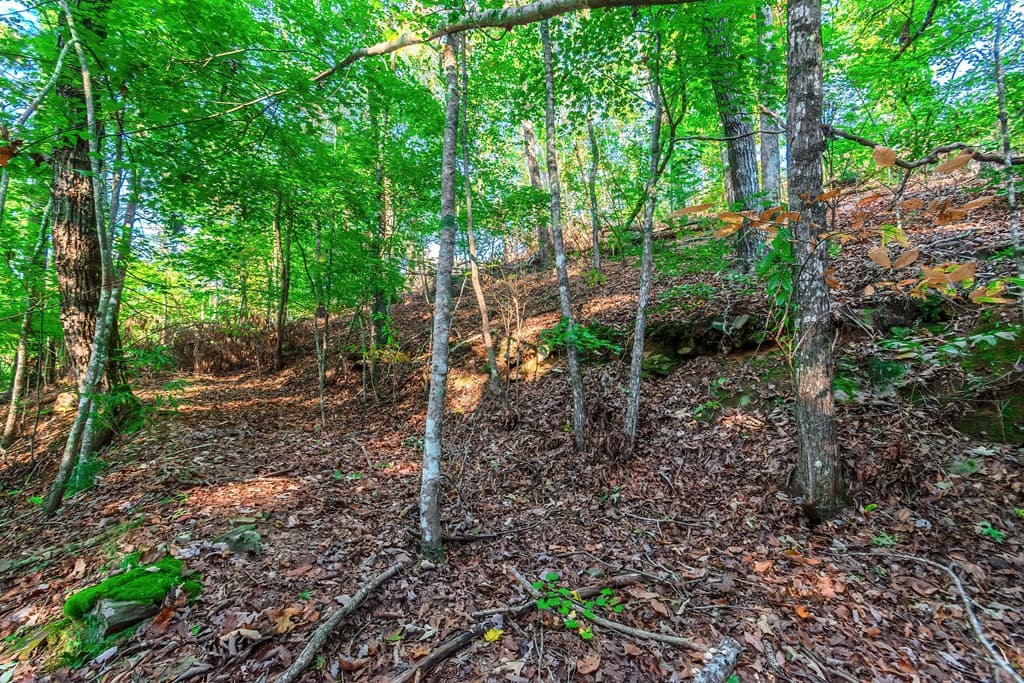 Lot 50 Jakes Landing Way, Ellijay GA 30540 - Photo