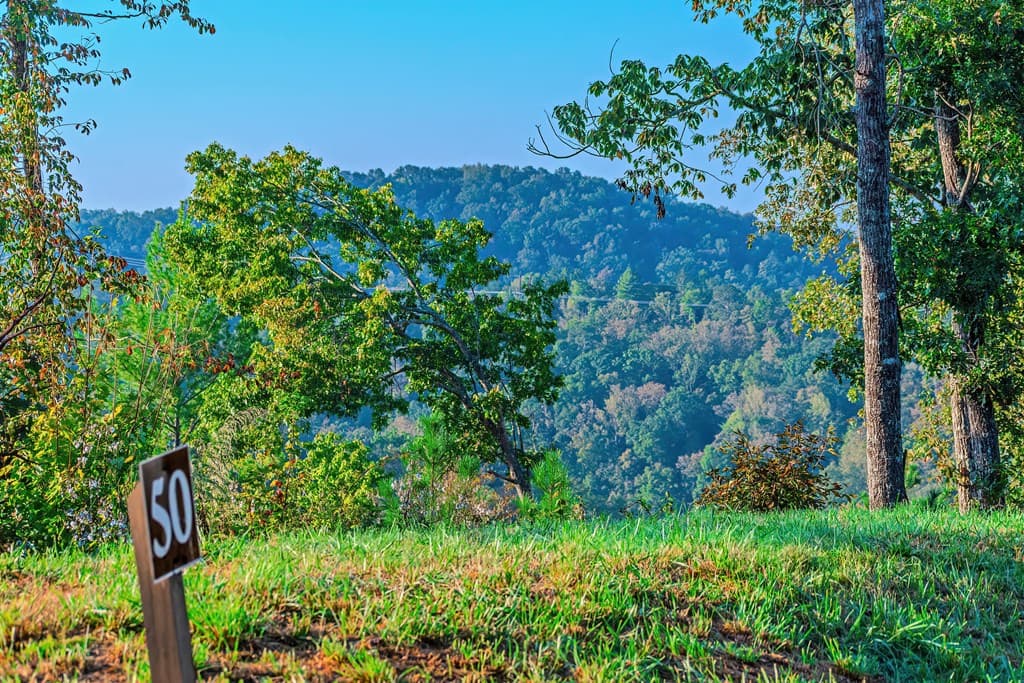 Lot 50 Jakes Landing Way, Ellijay GA 30540 - Photo