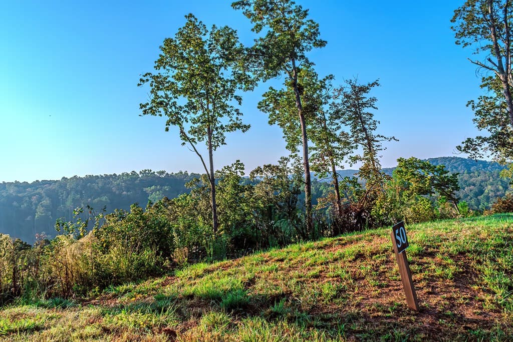 Lot 50 Jakes Landing Way, Ellijay GA 30540 - Photo