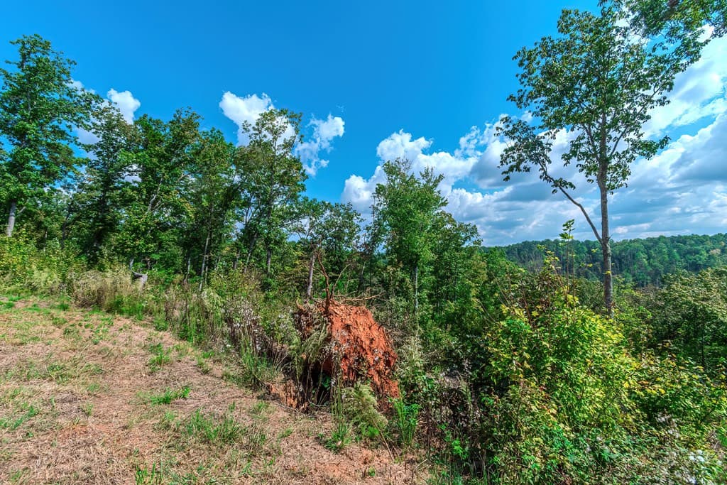 Lot 50 Jakes Landing Way, Ellijay GA 30540 - Photo