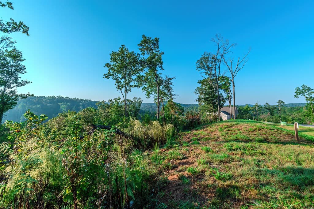 Lot 50 Jakes Landing Way, Ellijay GA 30540 - Photo