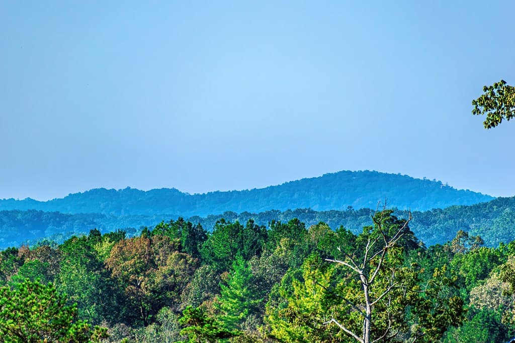 Lot 50 Jakes Landing Way, Ellijay GA 30540 - Photo