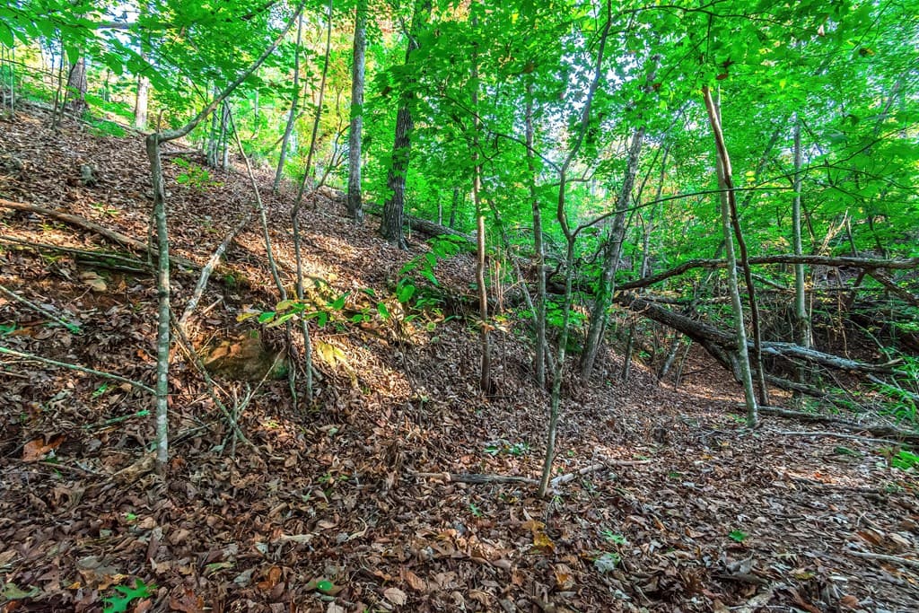 Lot 50 Jakes Landing Way, Ellijay GA 30540 - Photo