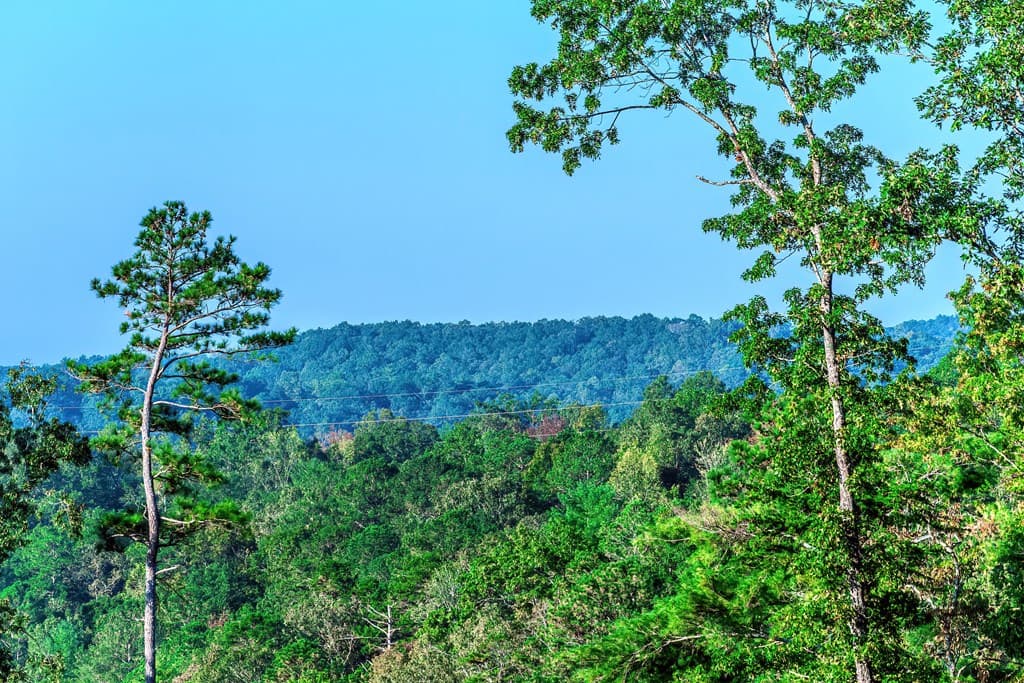 Lot 50 Jakes Landing Way, Ellijay GA 30540 - Photo
