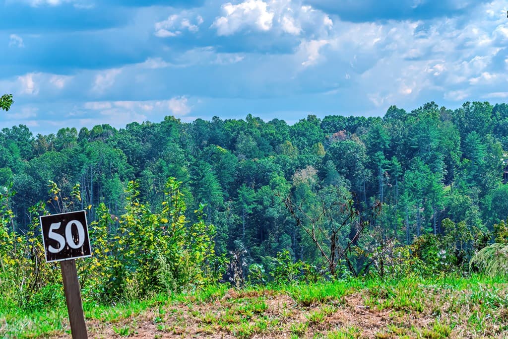 Lot 50 Jakes Landing Way, Ellijay GA 30540 - Photo