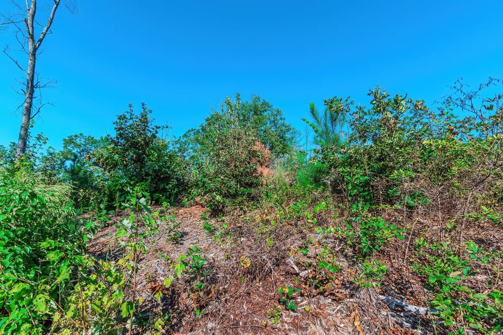 Lot 50 Jakes Landing Way, Ellijay GA 30540 - Photo