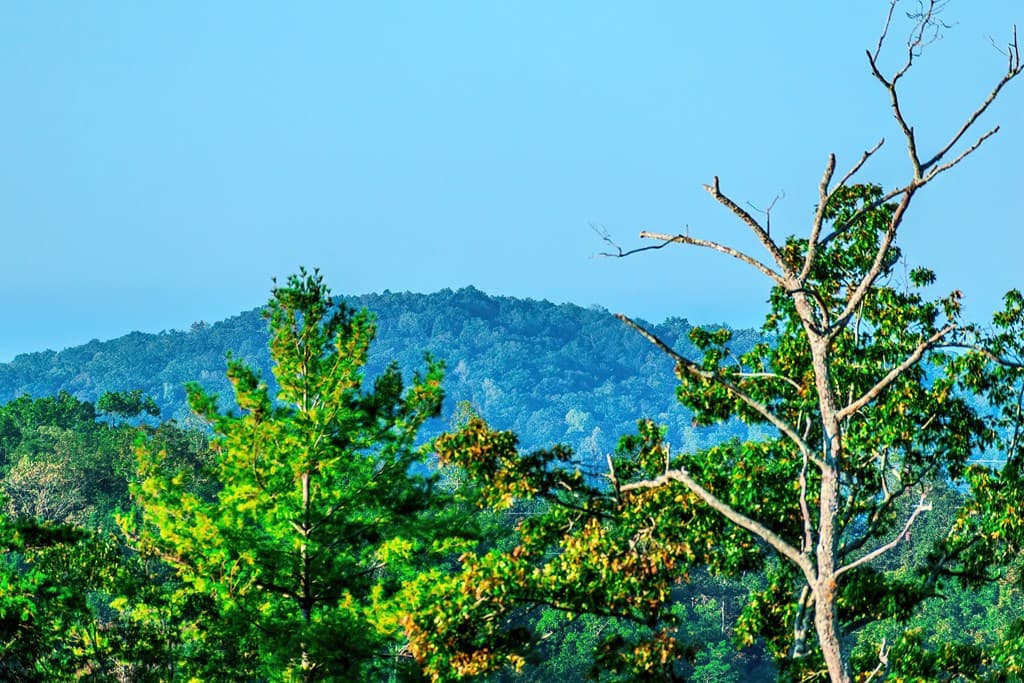 Lot 50 Jakes Landing Way, Ellijay GA 30540 - Photo