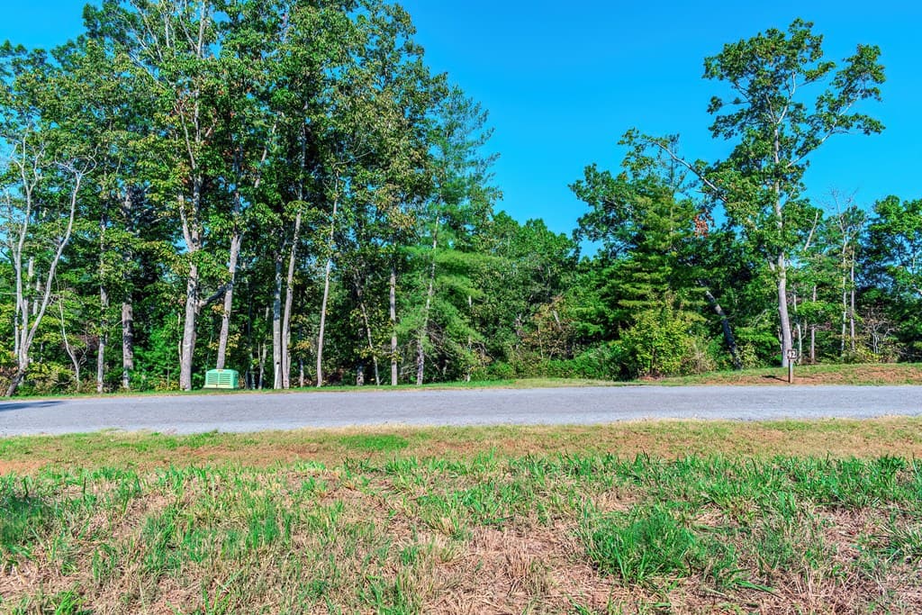 Lot 50 Jakes Landing Way, Ellijay GA 30540 - Photo