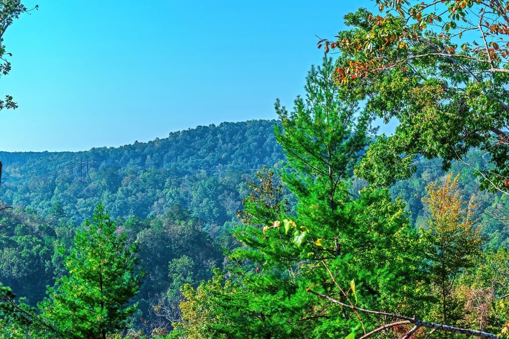 Lot 50 Jakes Landing Way, Ellijay GA 30540 - Photo
