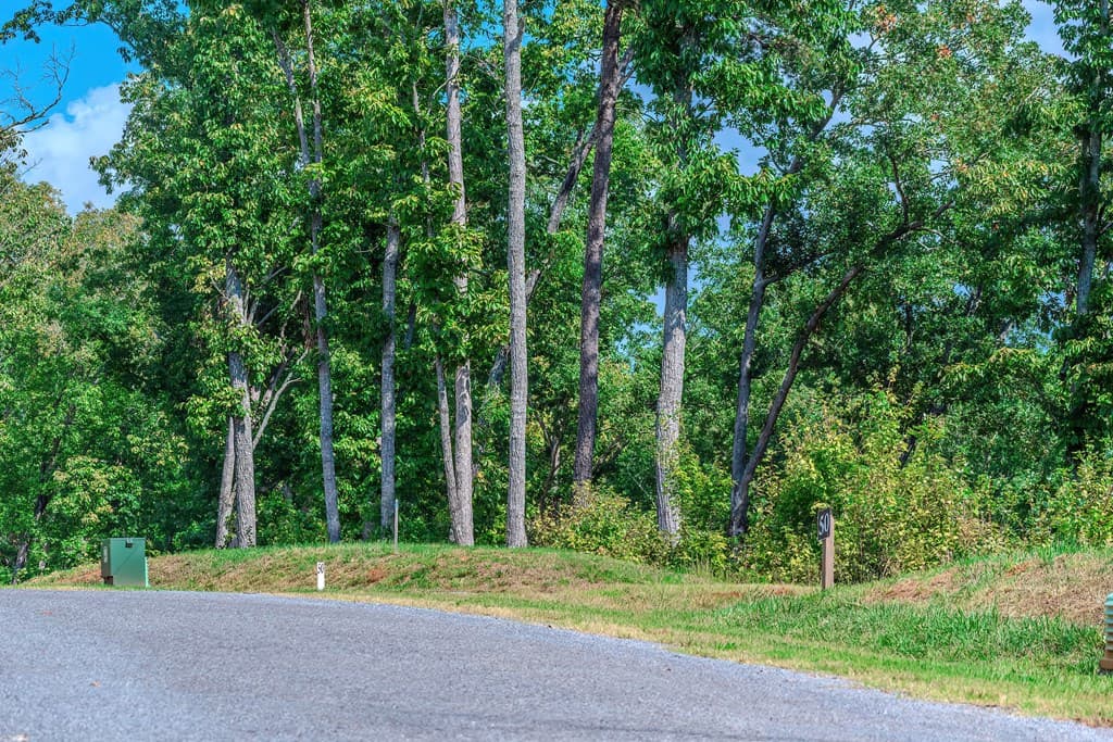 Lot 50 Jakes Landing Way, Ellijay GA 30540 - Photo