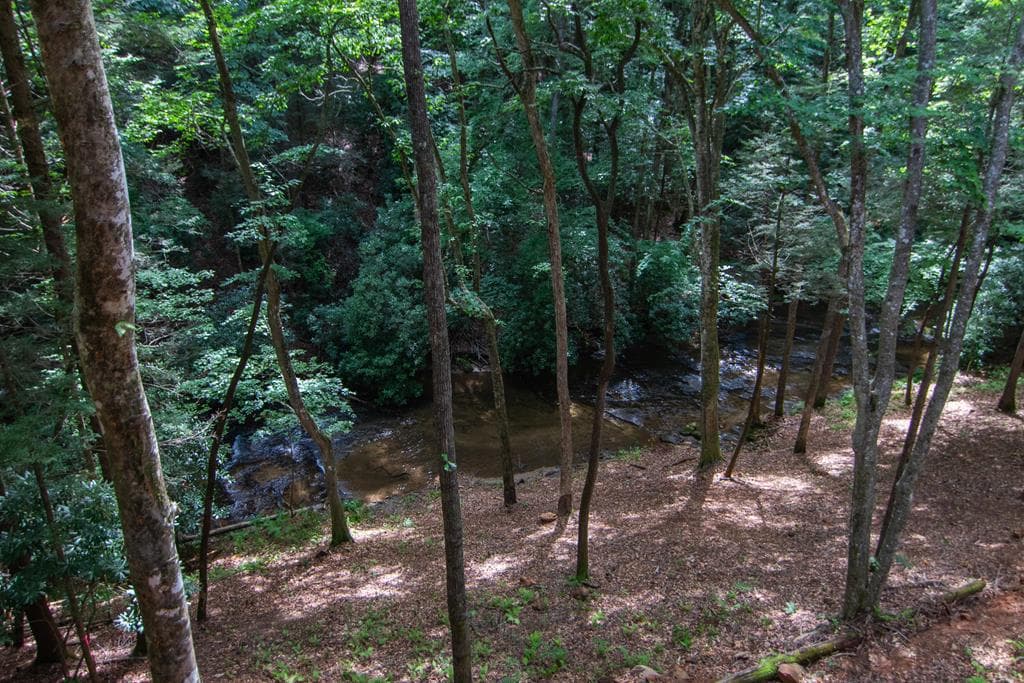 1990 Big Creek, Blue Ridge GA 30513 - Photo