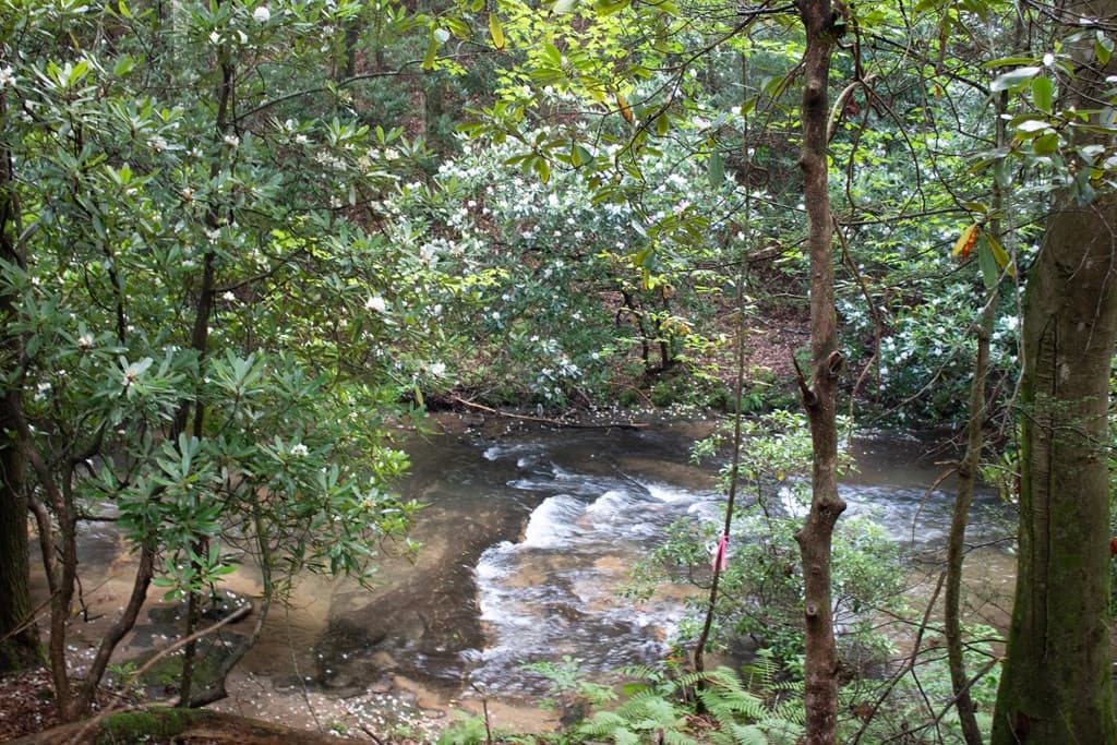 1990 Big Creek, Blue Ridge GA 30513 - Photo