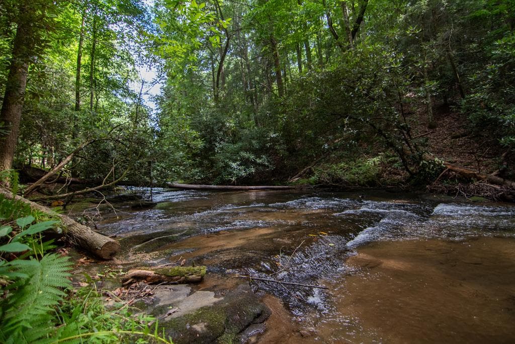 1990 Big Creek, Blue Ridge GA 30513 - Photo