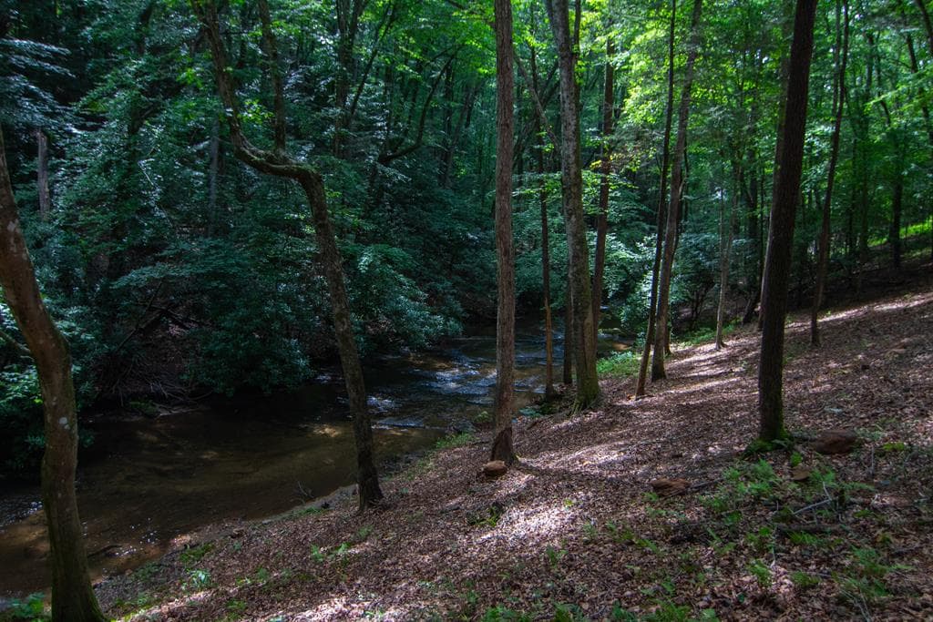 1990 Big Creek, Blue Ridge GA 30513 - Photo