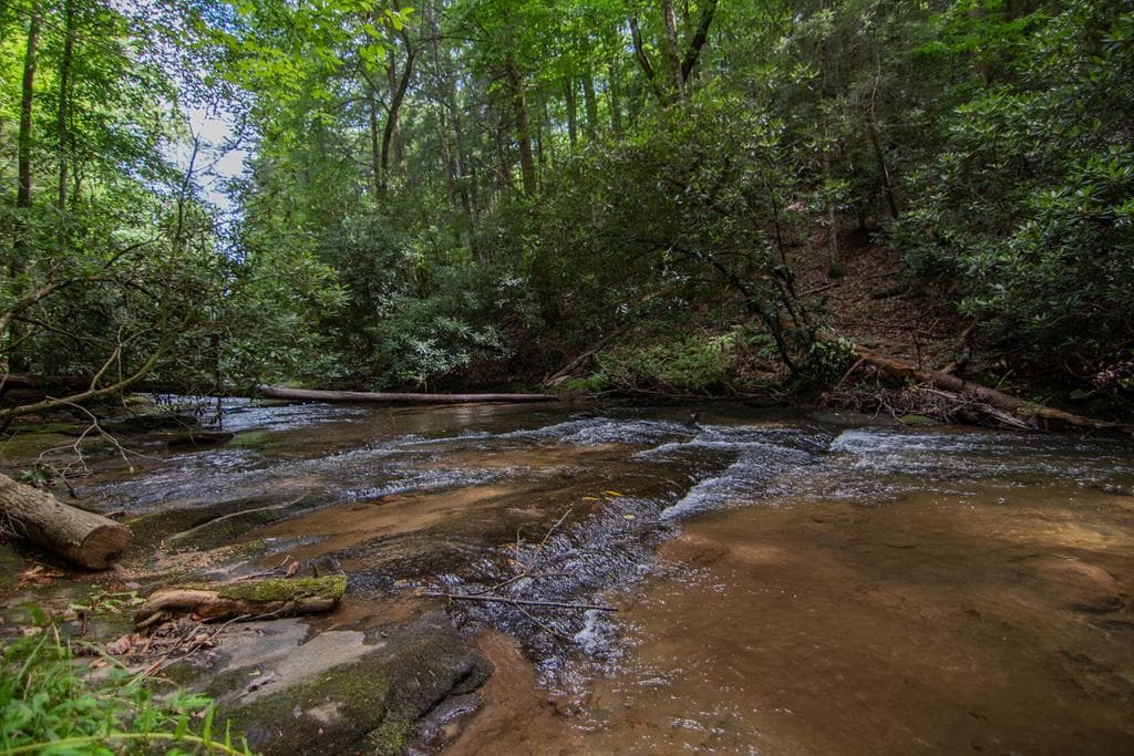 1990 Big Creek, Blue Ridge GA 30513 - Photo