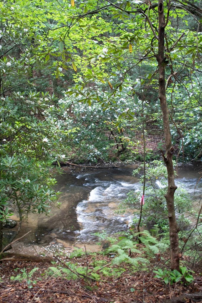 1990 Big Creek, Blue Ridge GA 30513 - Photo