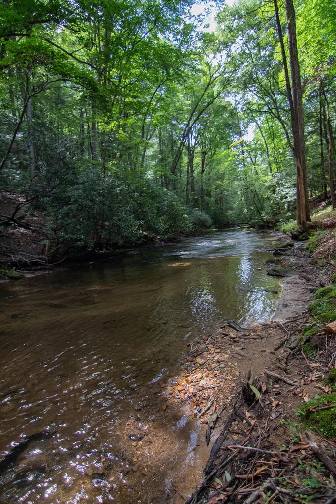 1990 Big Creek, Blue Ridge GA 30513 - Photo