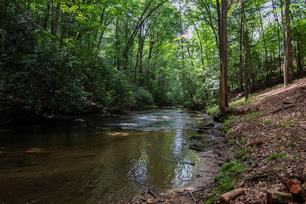 1990 Big Creek, Blue Ridge GA 30513 - Photo