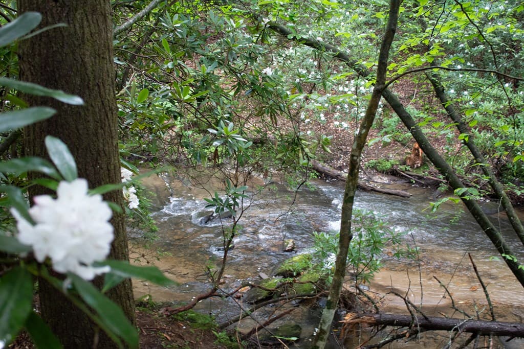 1990 Big Creek, Blue Ridge GA 30513 - Photo