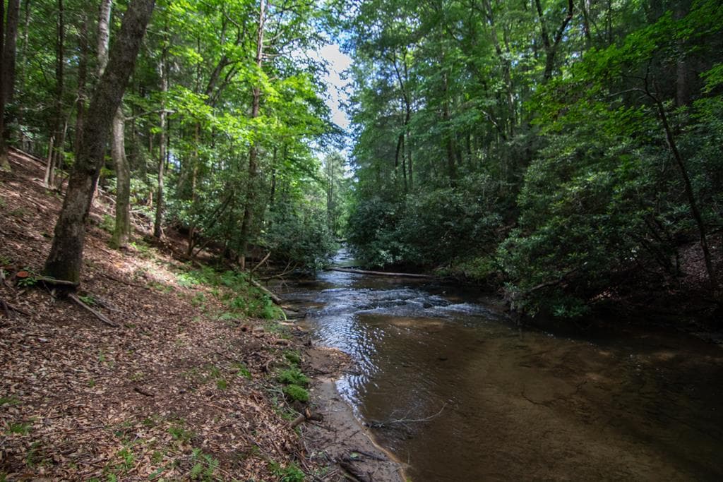 1990 Big Creek, Blue Ridge GA 30513 - Photo