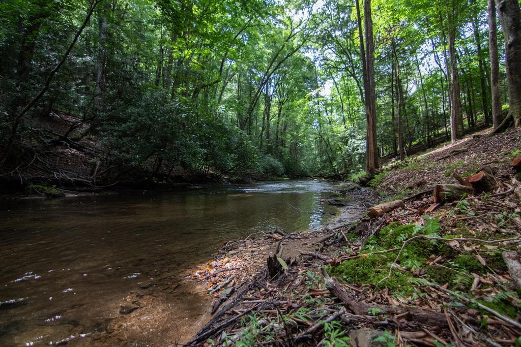 1990 Big Creek, Blue Ridge GA 30513 - Photo