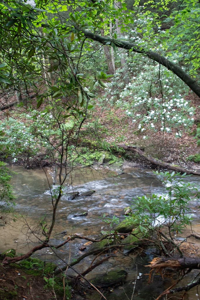 1990 Big Creek, Blue Ridge GA 30513 - Photo