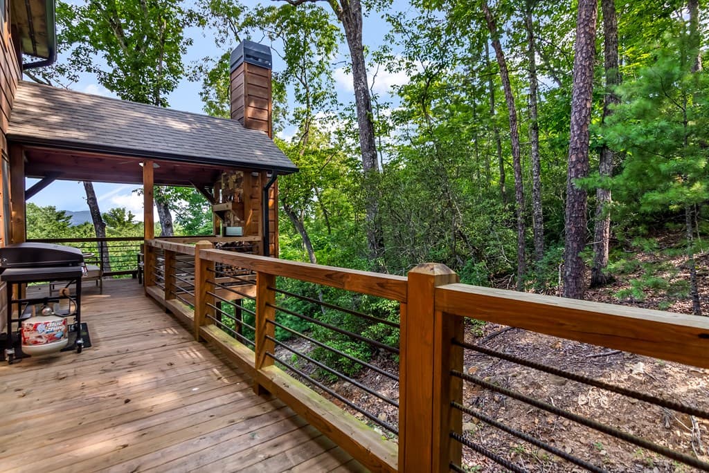 236 Hooch Holler Lane, Morganton GA 30560 - Photo