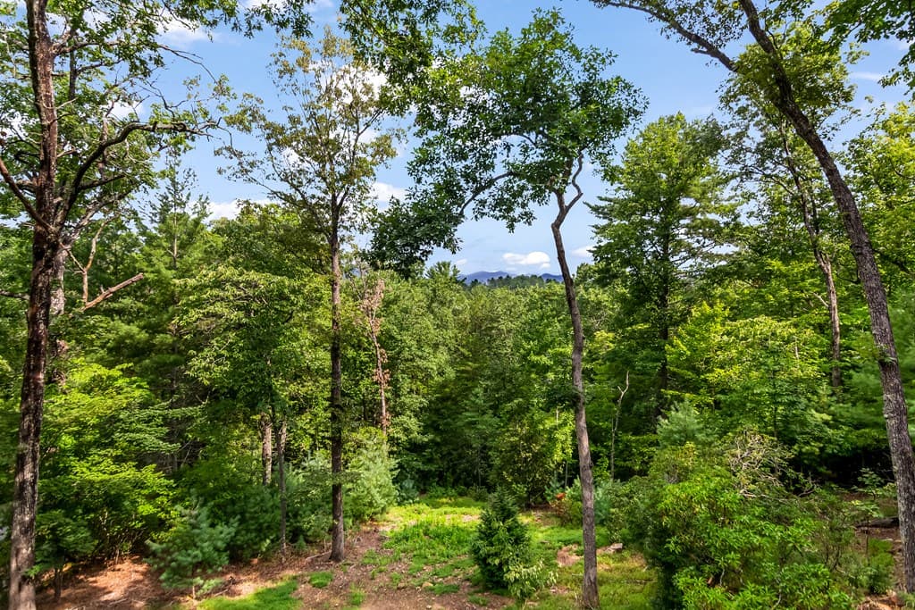 236 Hooch Holler Lane, Morganton GA 30560 - Photo