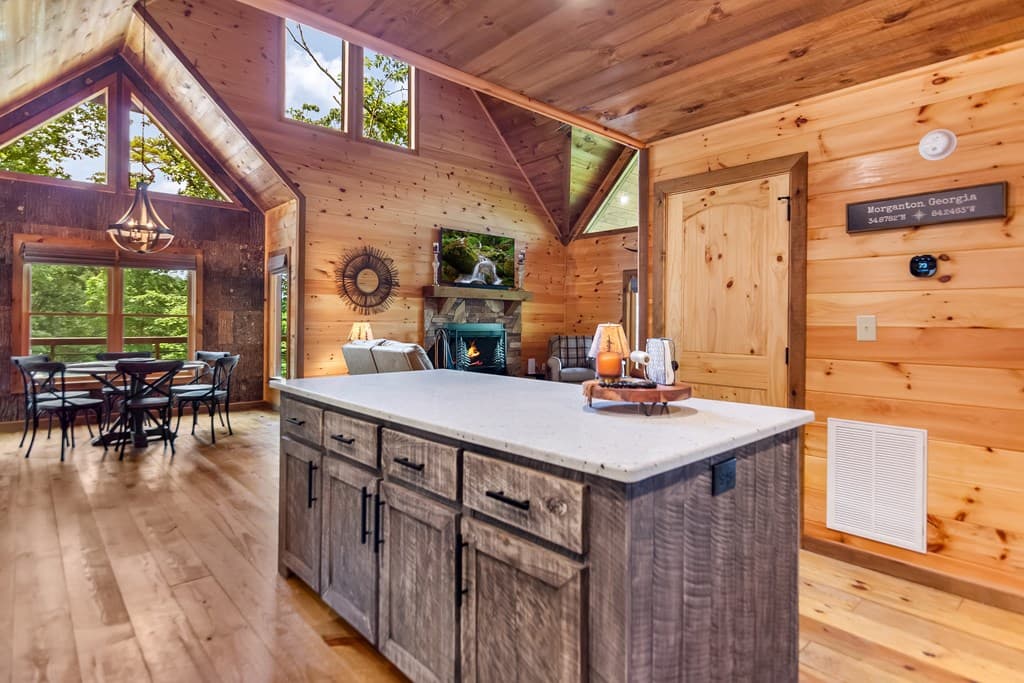 236 Hooch Holler Lane, Morganton GA 30560 - Photo
