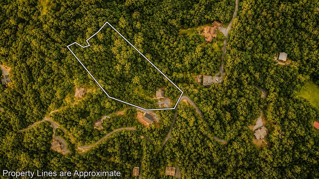 236 Hooch Holler Lane, Morganton GA 30560 - Photo