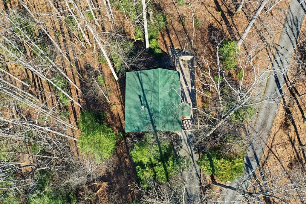 266 Chimney Rock Road, Cherry Log GA 30522 - Photo