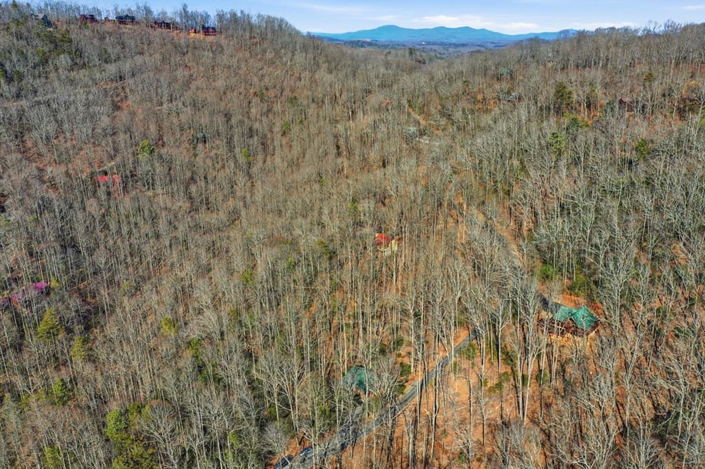 266 Chimney Rock Road, Cherry Log GA 30522 - Photo