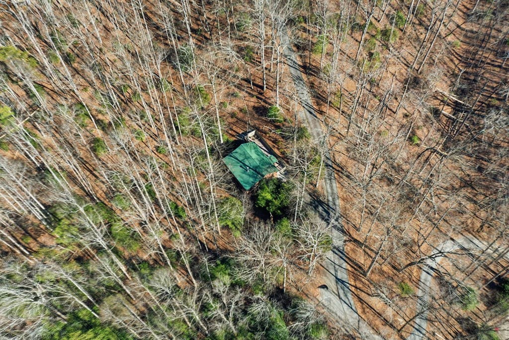 266 Chimney Rock Road, Cherry Log GA 30522 - Photo
