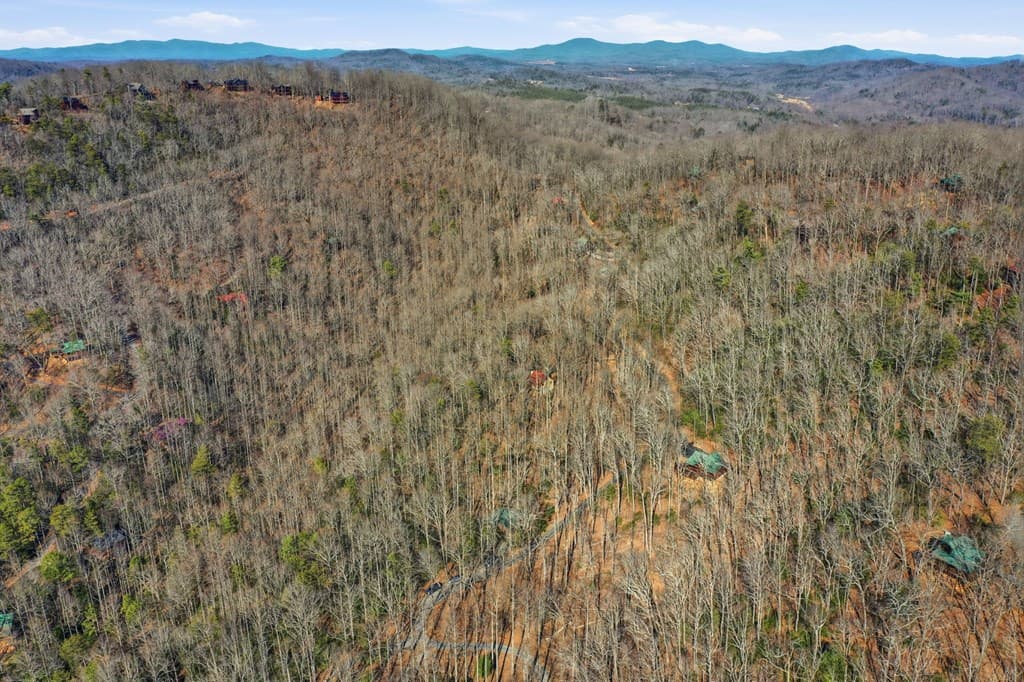266 Chimney Rock Road, Cherry Log GA 30522 - Photo