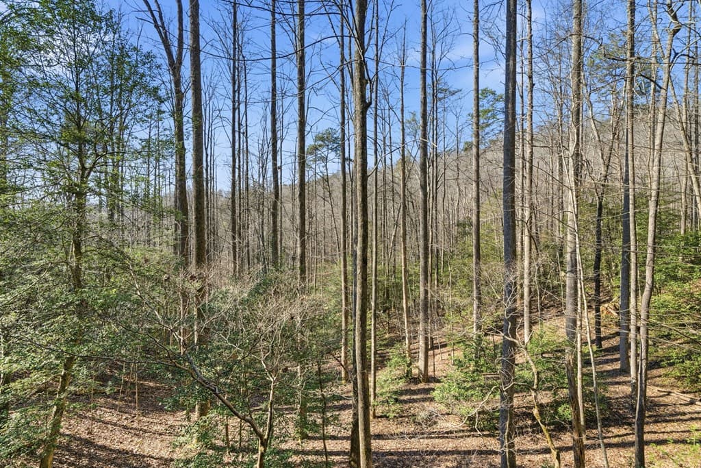 266 Chimney Rock Road, Cherry Log GA 30522 - Photo