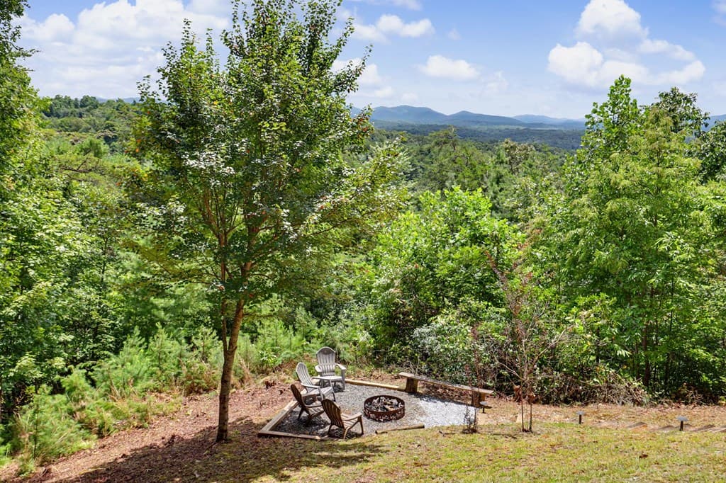 1259 My Mountain Road, Morganton GA 30560 - Photo