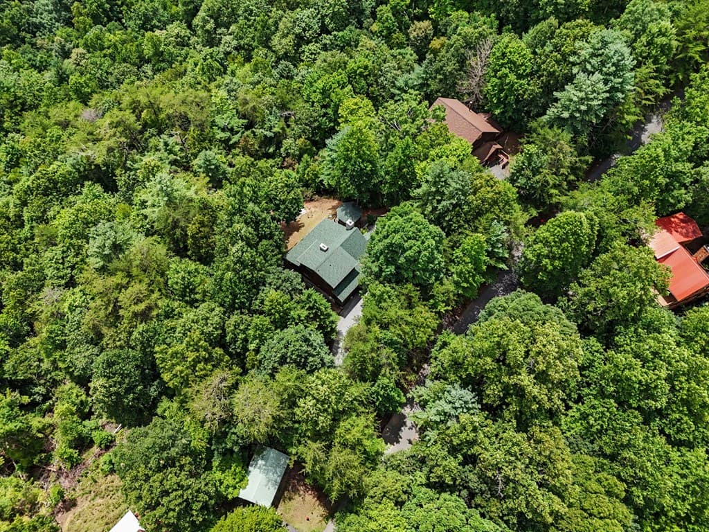 1259 My Mountain Road, Morganton GA 30560 - Photo