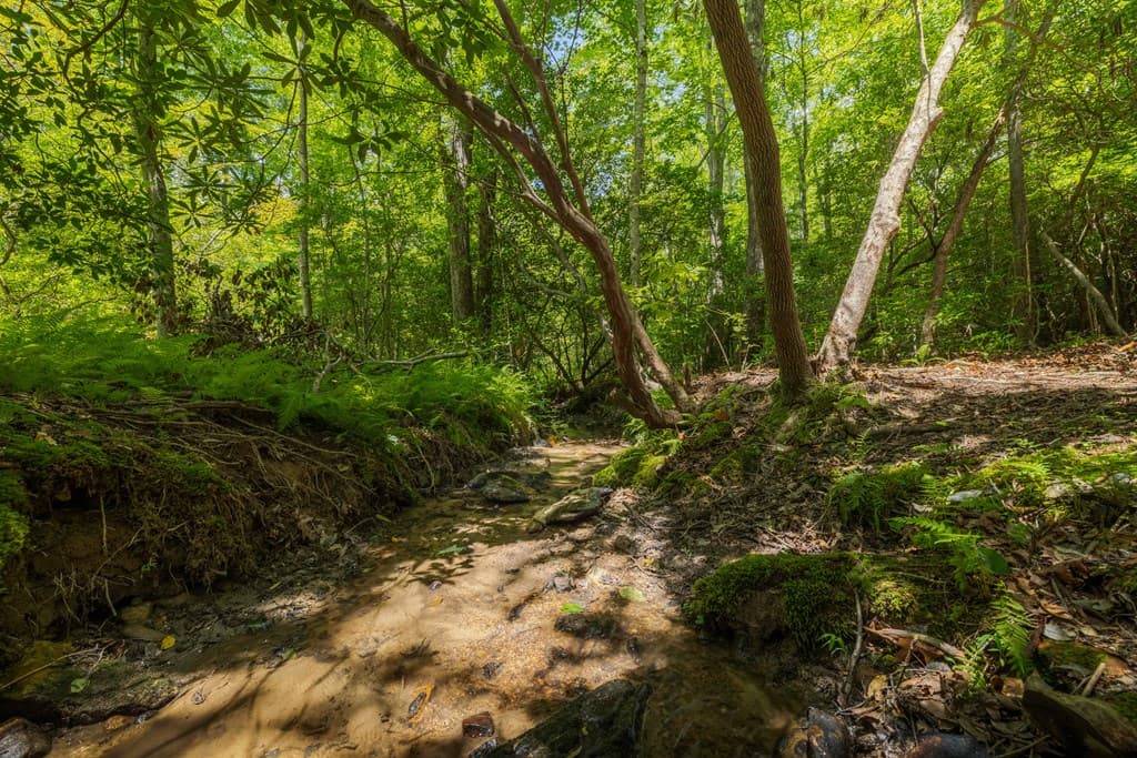 195 Moonshine Way, Blue Ridge GA 30513 - Photo