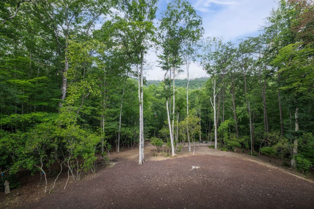 195 Moonshine Way, Blue Ridge GA 30513 - Photo