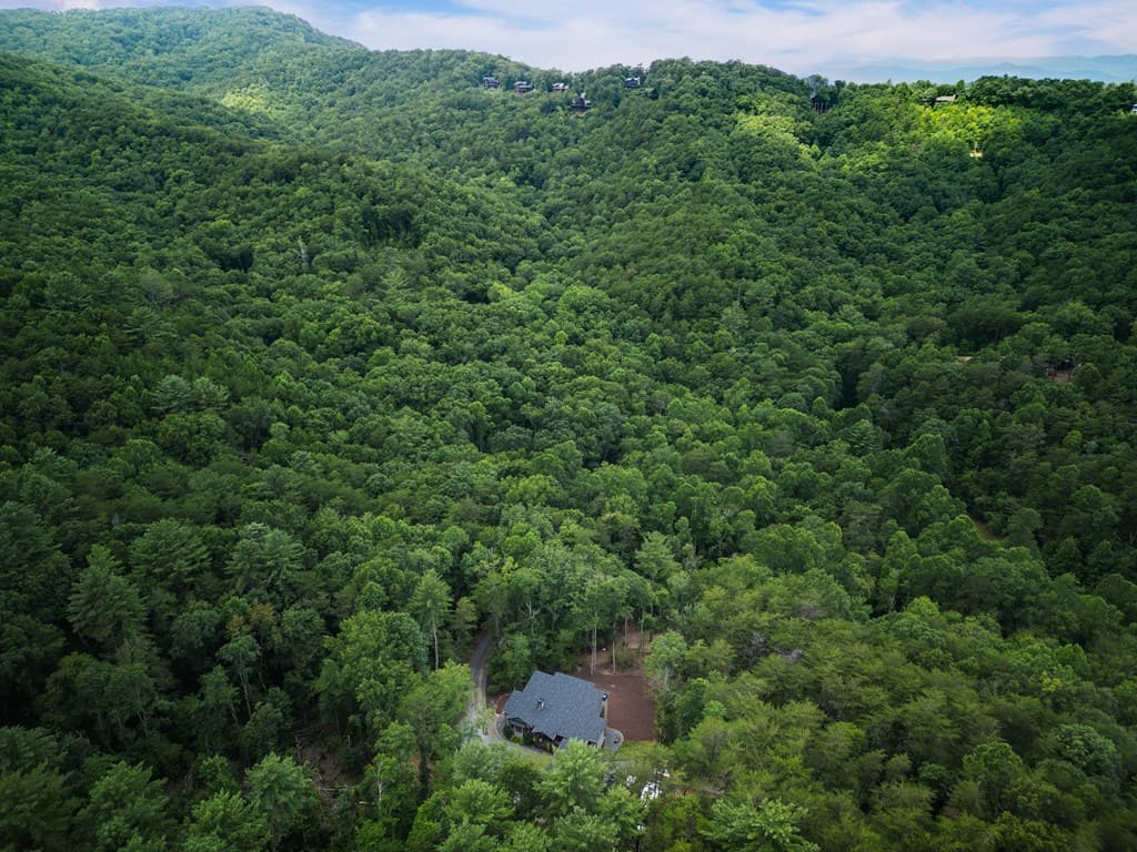 195 Moonshine Way, Blue Ridge GA 30513 - Photo