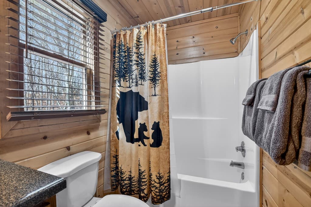 78 Brass Hill Road, Blue Ridge GA 30513 - Photo