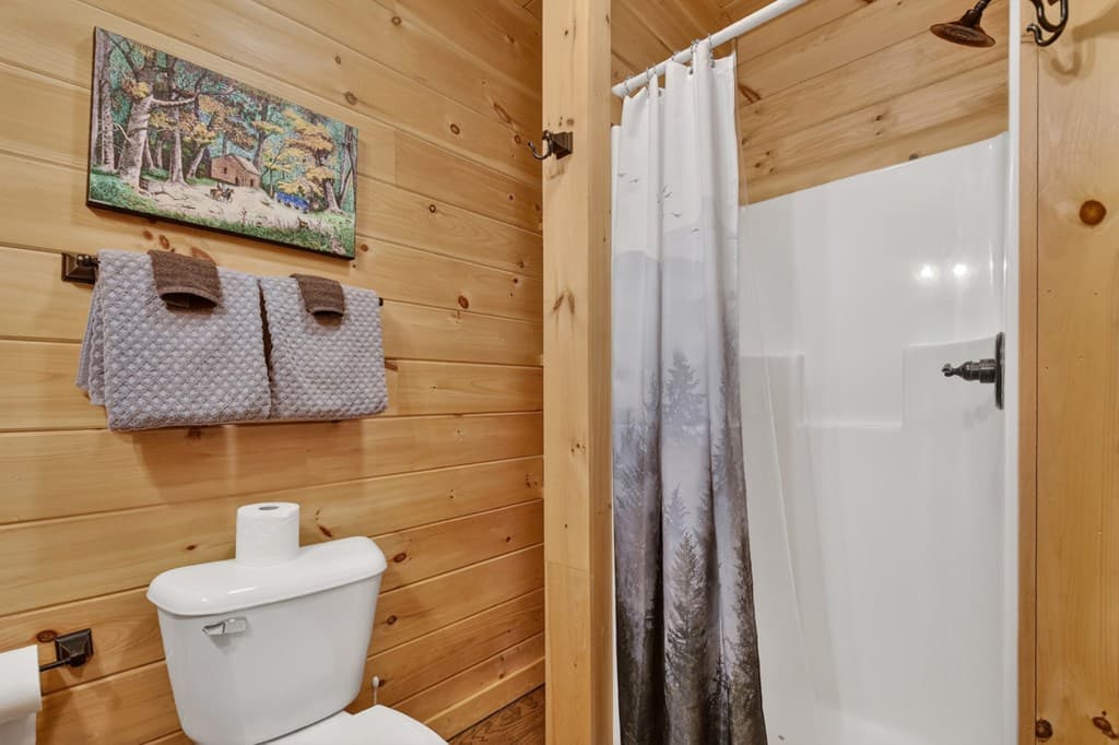 78 Brass Hill Road, Blue Ridge GA 30513 - Photo