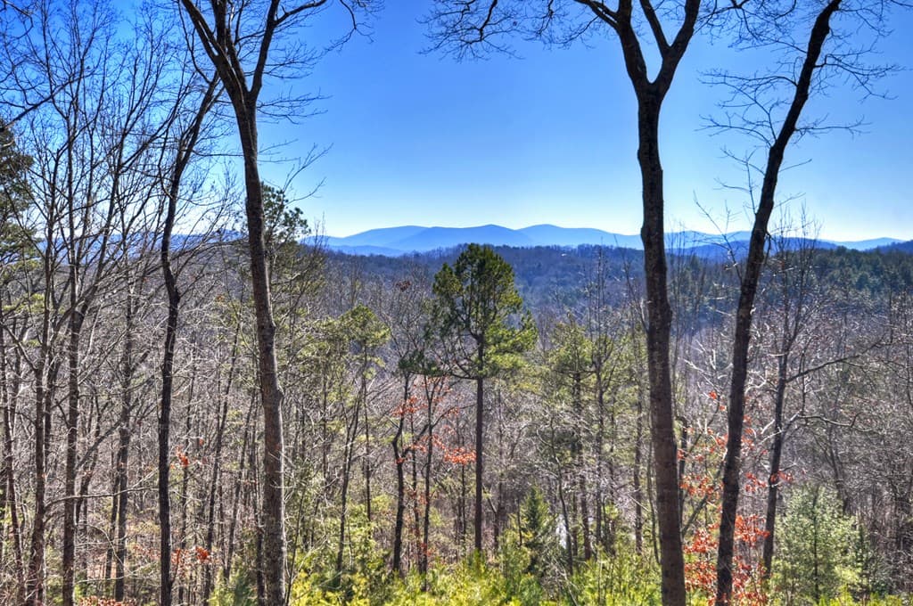 78 Brass Hill Road, Blue Ridge GA 30513 - Photo