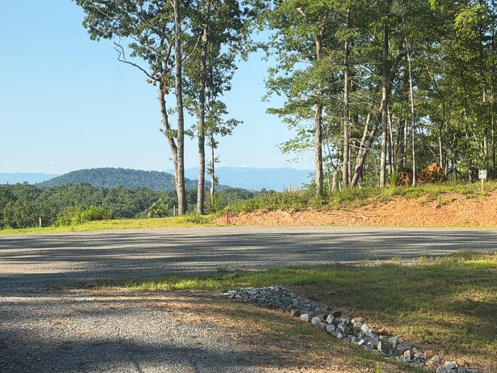 78 Hilltop Way, Mineral Bluff GA 30559 - Photo