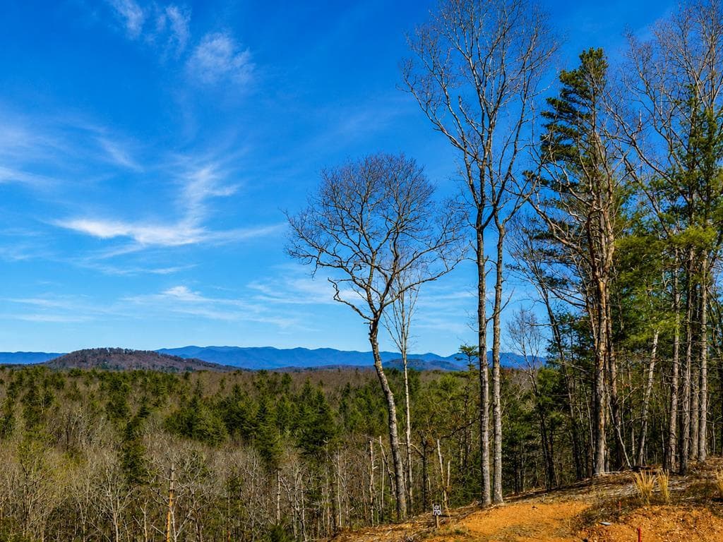 78 Hilltop Way, Mineral Bluff GA 30559 - Photo